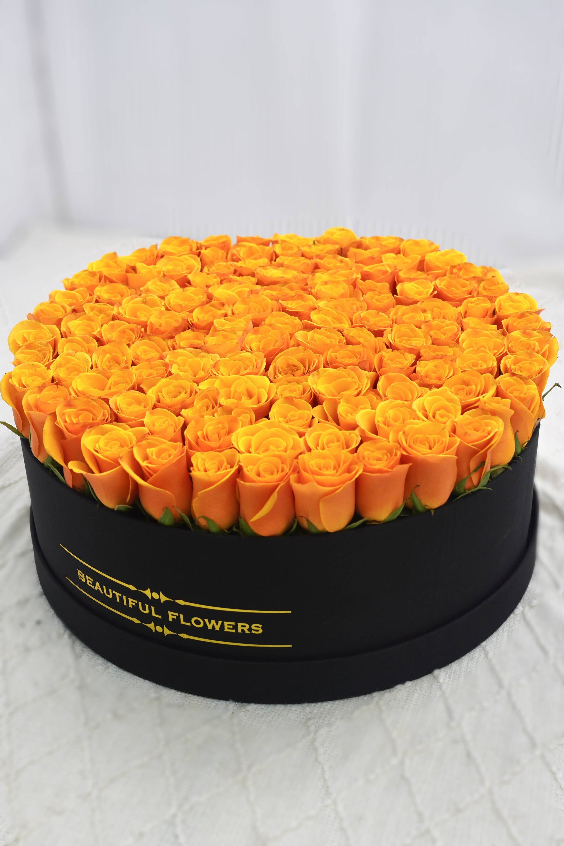 Morning Light | Orange Roses
