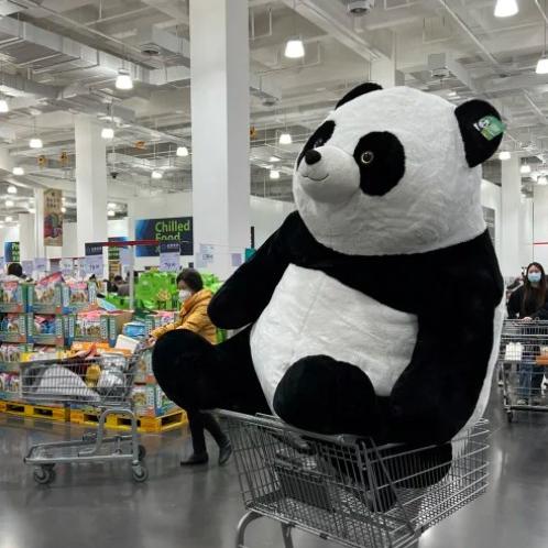 Panda puppet