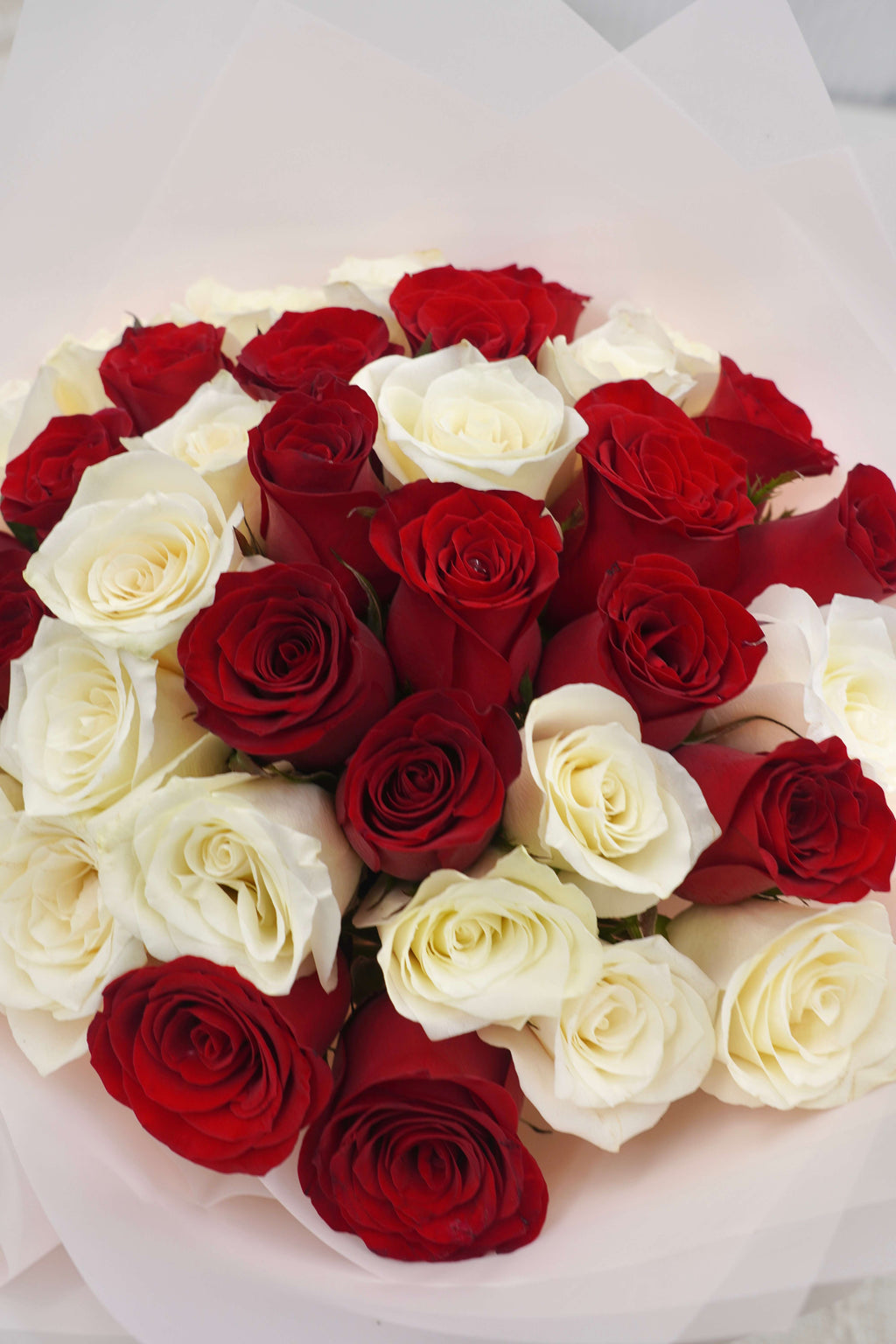 31 Premium White And Red Mixed  Roses