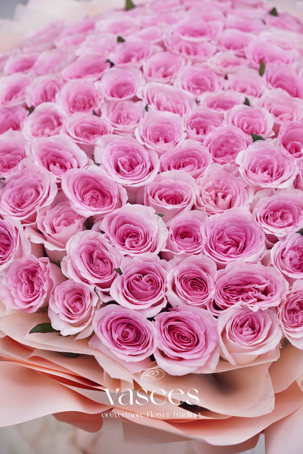Sandwich Jam | Pink Roselle Rose