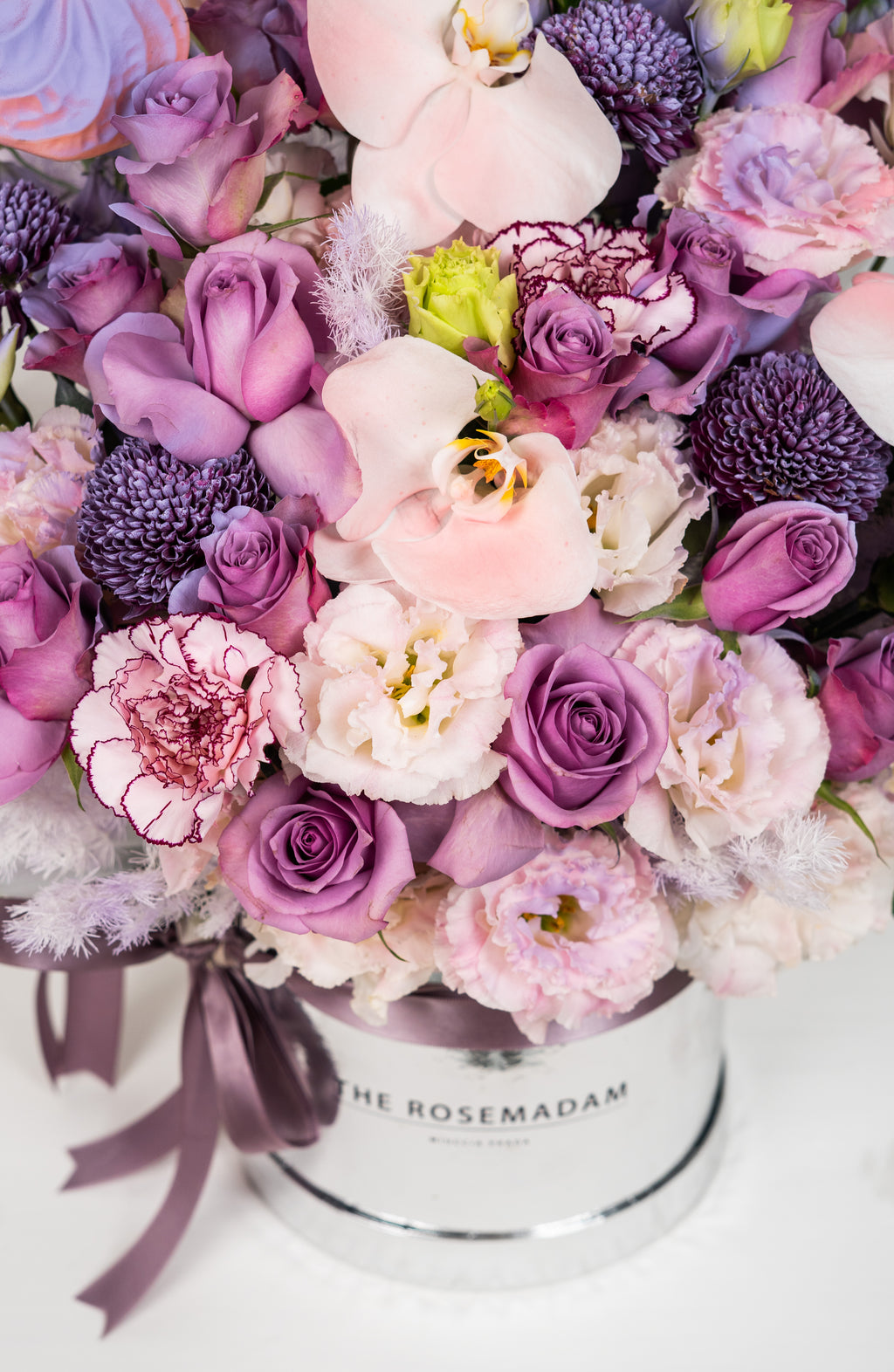The Rosemadam's Pastel Enchantment