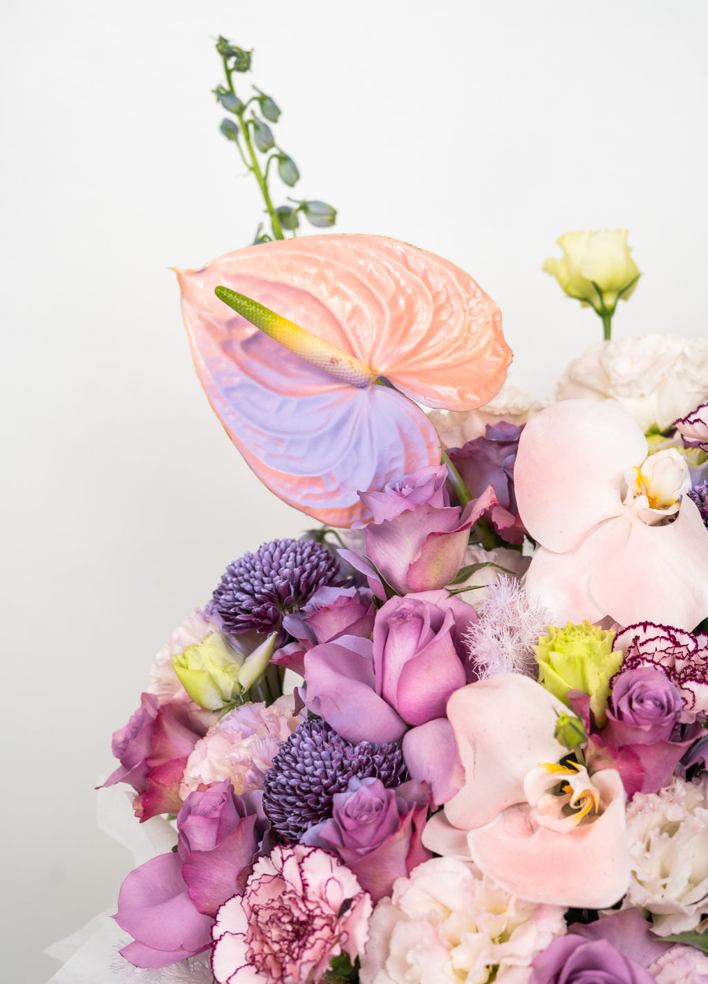 The Rosemadam's Pastel Enchantment