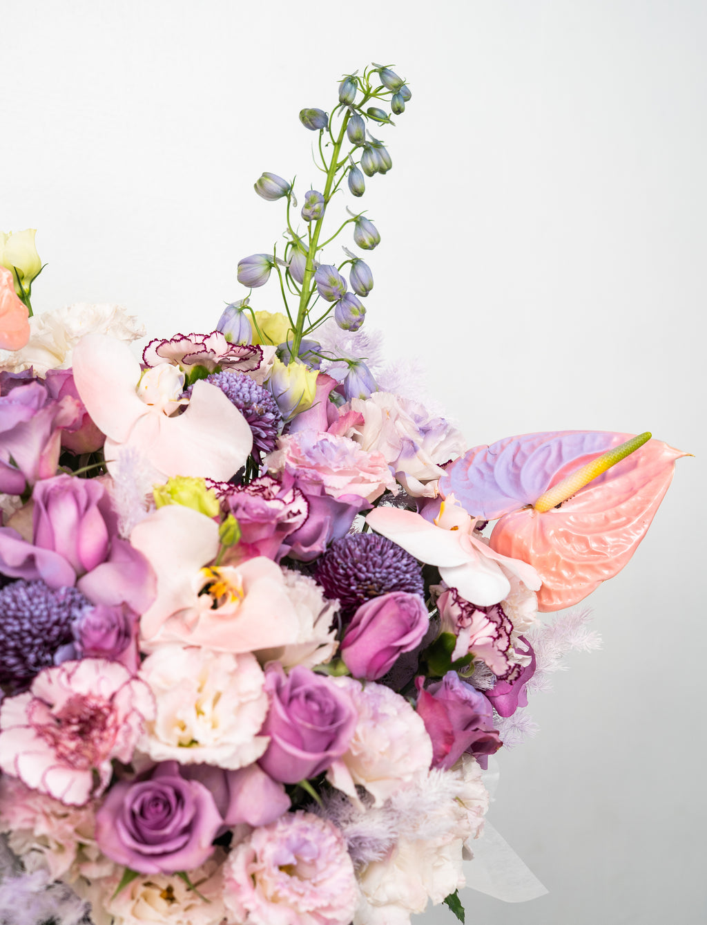 The Rosemadam's Pastel Enchantment