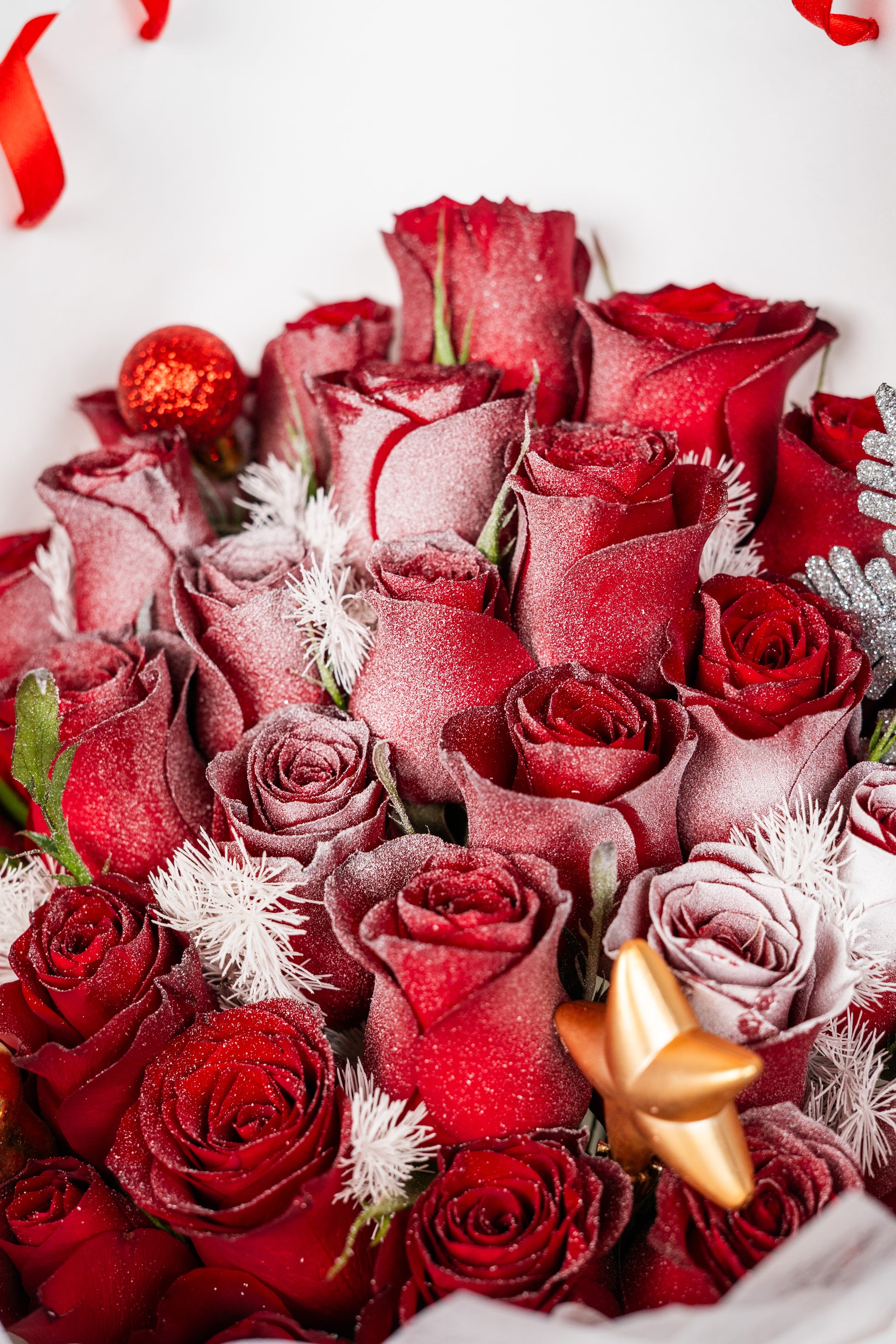 Winter's Kiss of Crimson Roses