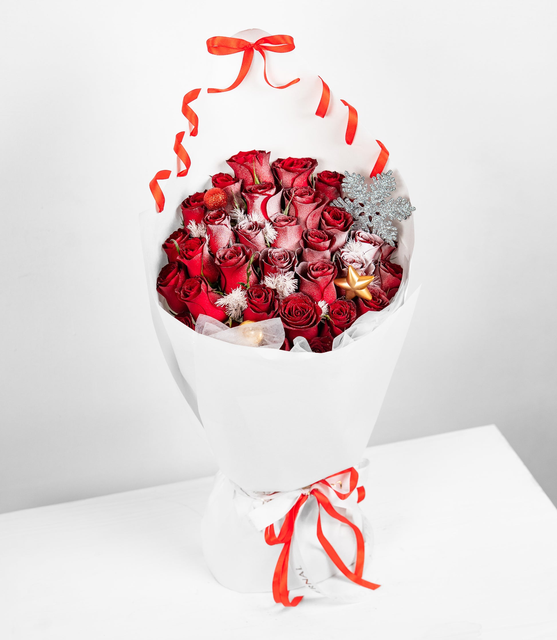 Winter's Kiss of Crimson Roses