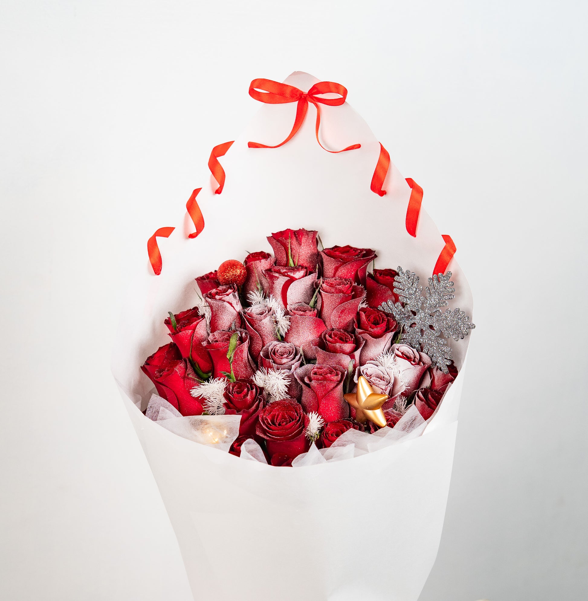 Winter's Kiss of Crimson Roses