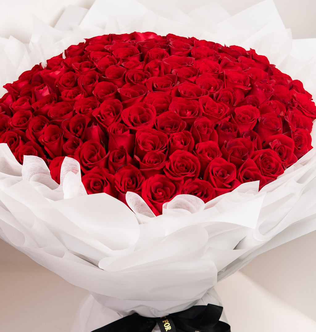 Classic Red Roses
