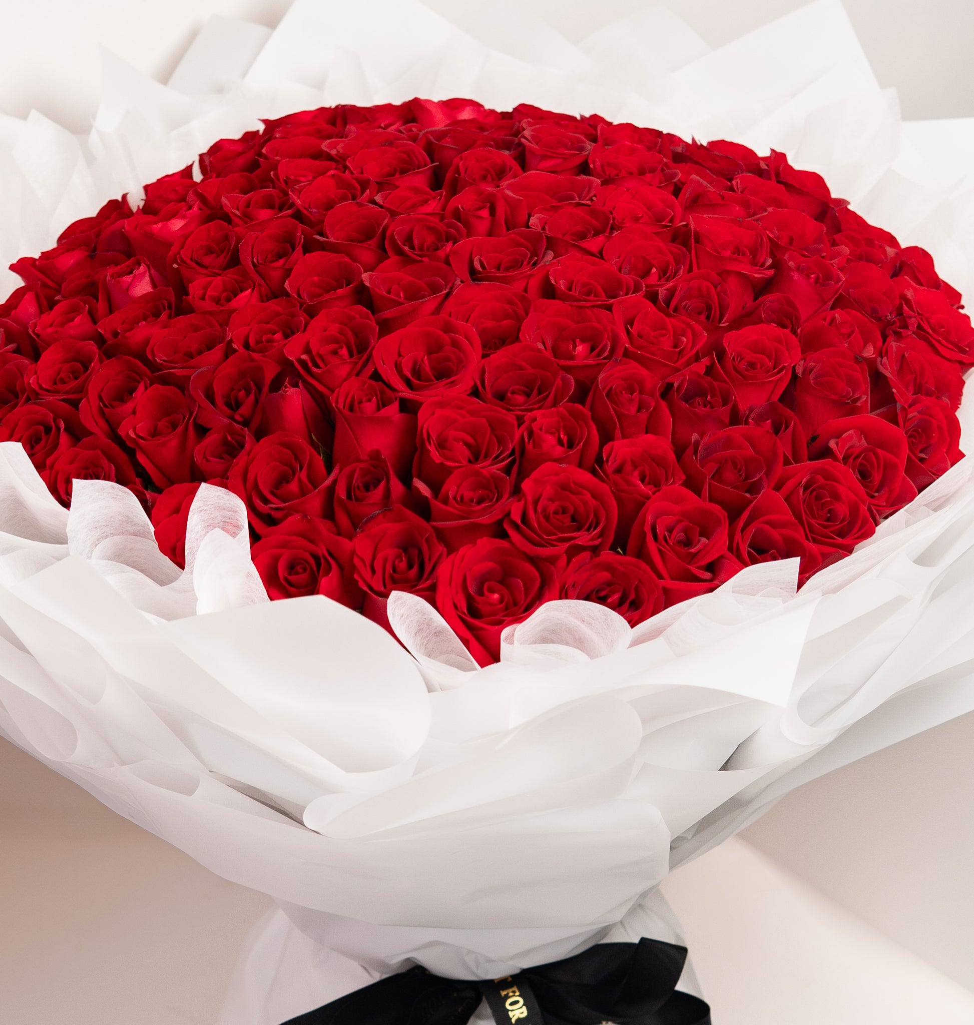 Classic Red Roses