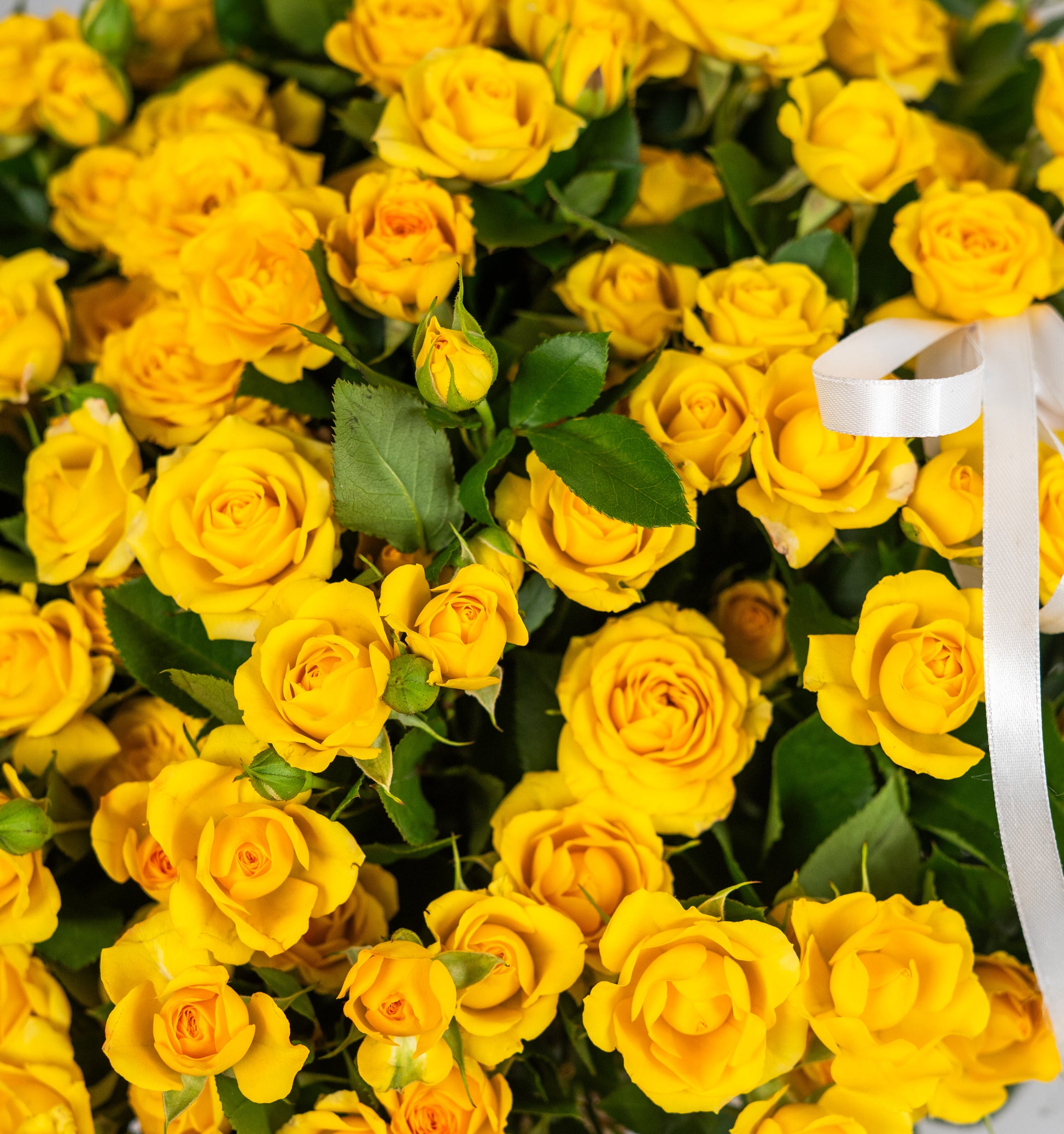 Mellow Yellow BASKET