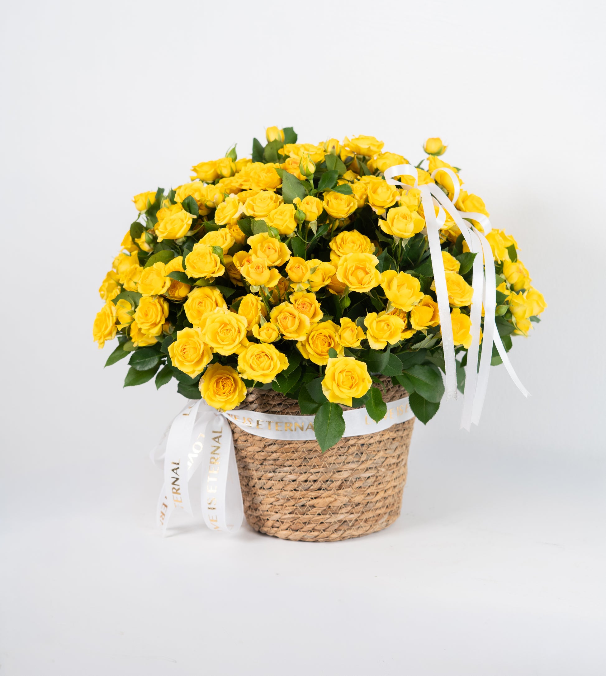 Mellow Yellow BASKET