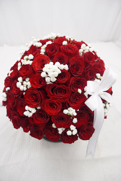 81 Premium Red Rose with Baby's breath Box