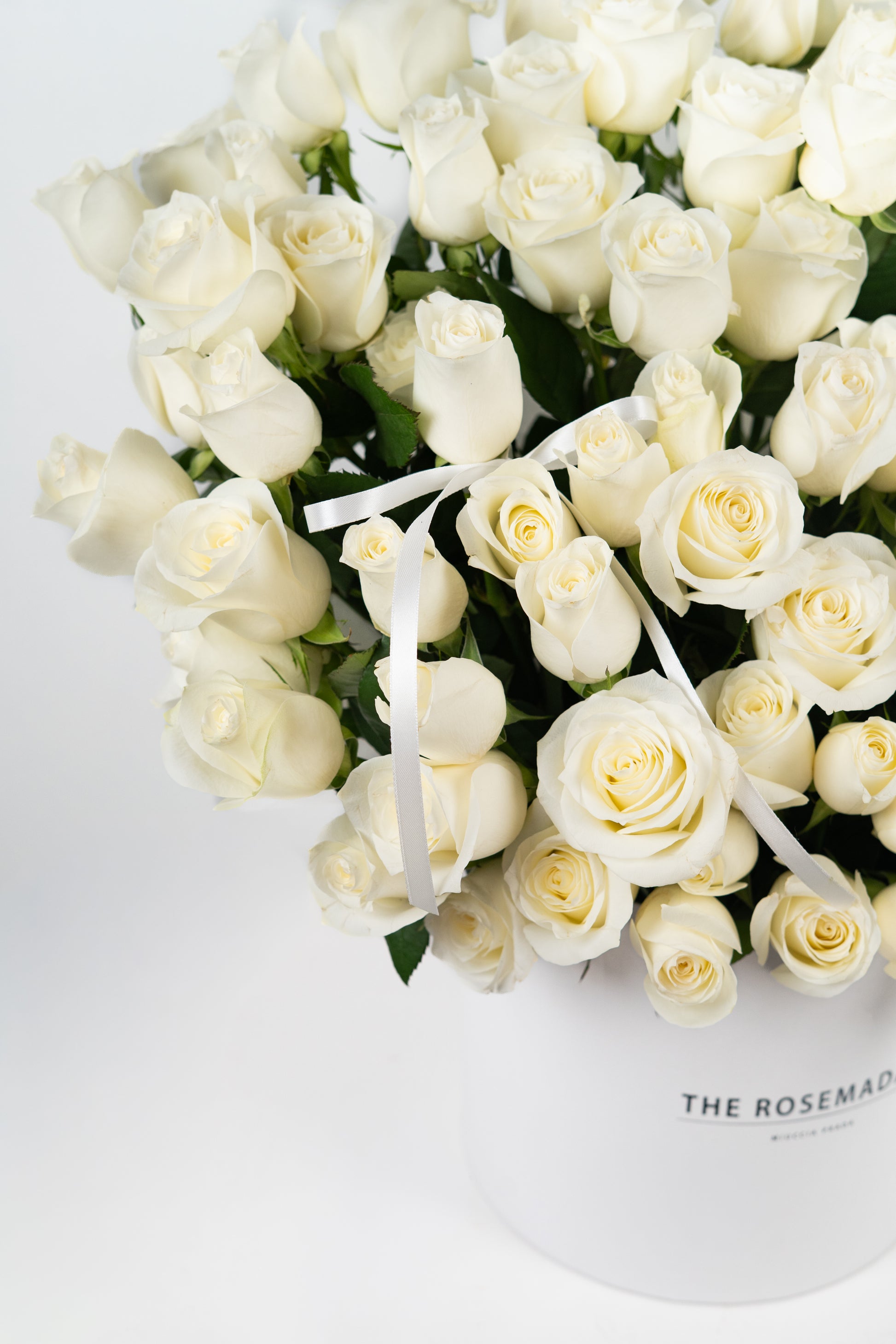 MOONLIGHT GARDEN BOX