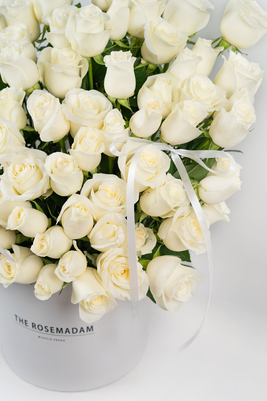 MOONLIGHT GARDEN BOX