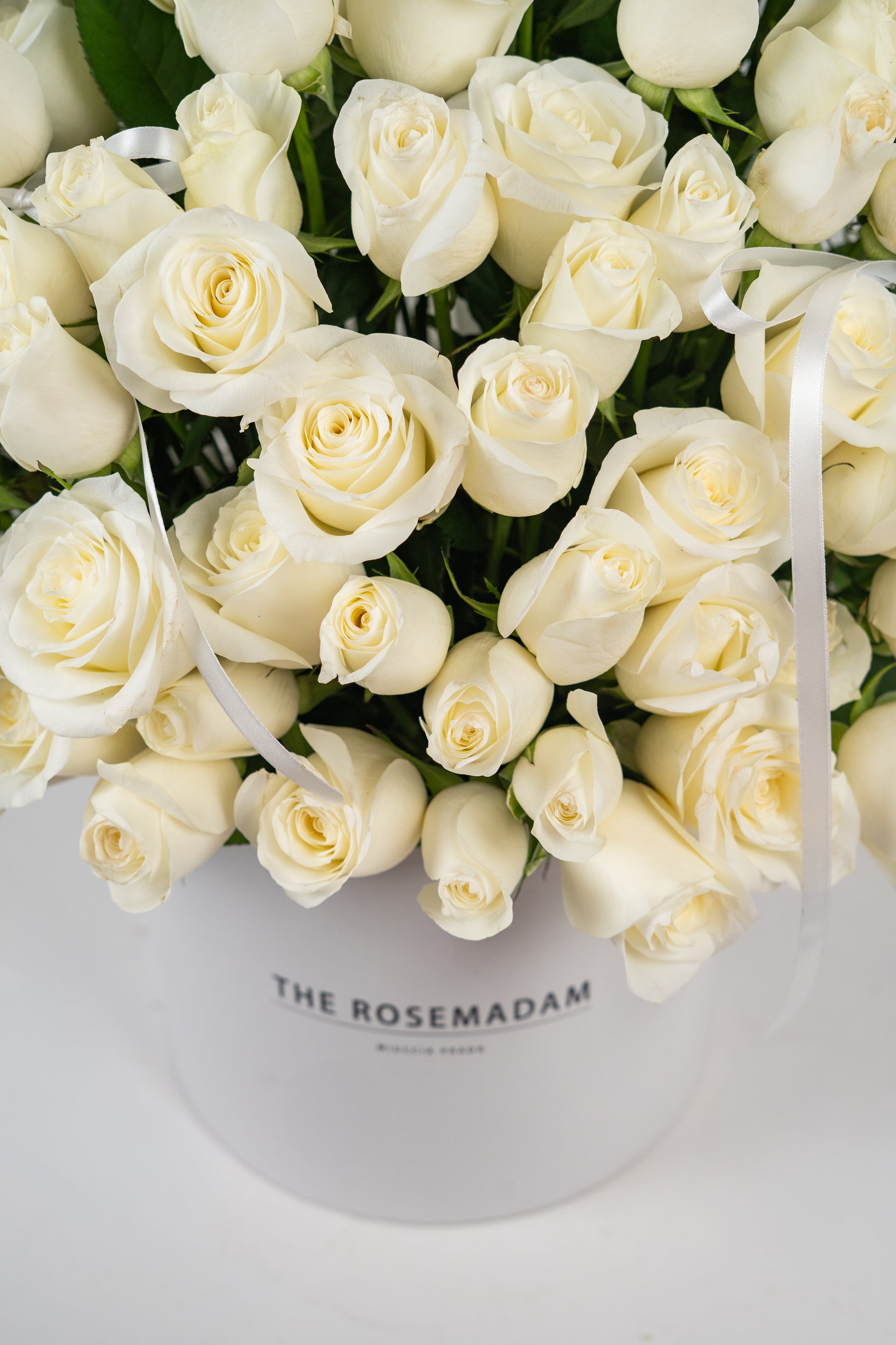 MOONLIGHT GARDEN BOX