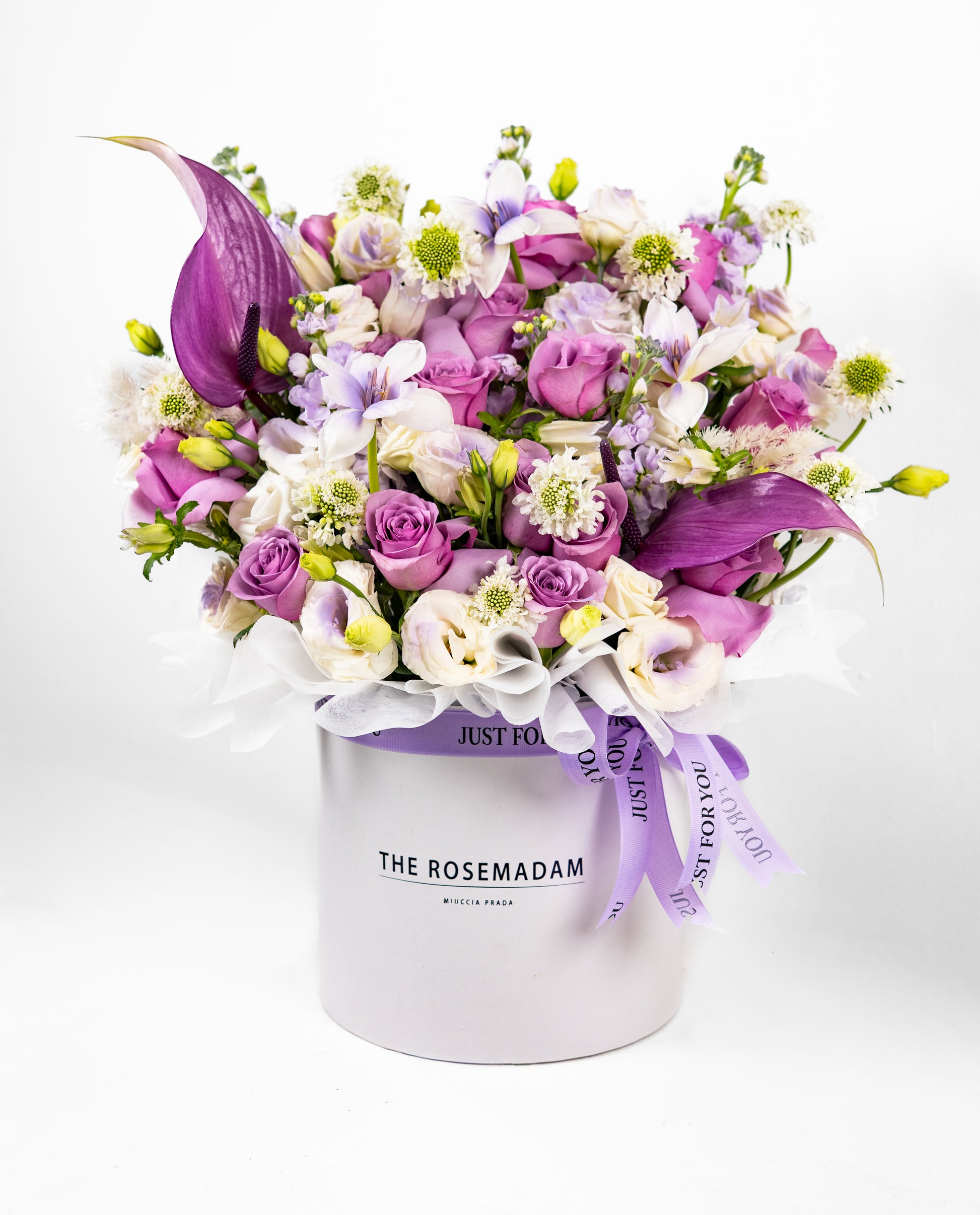 The Majestic Lilac Box