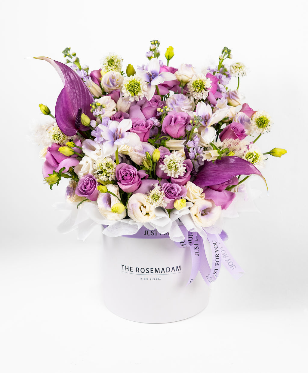 The Majestic Lilac Box