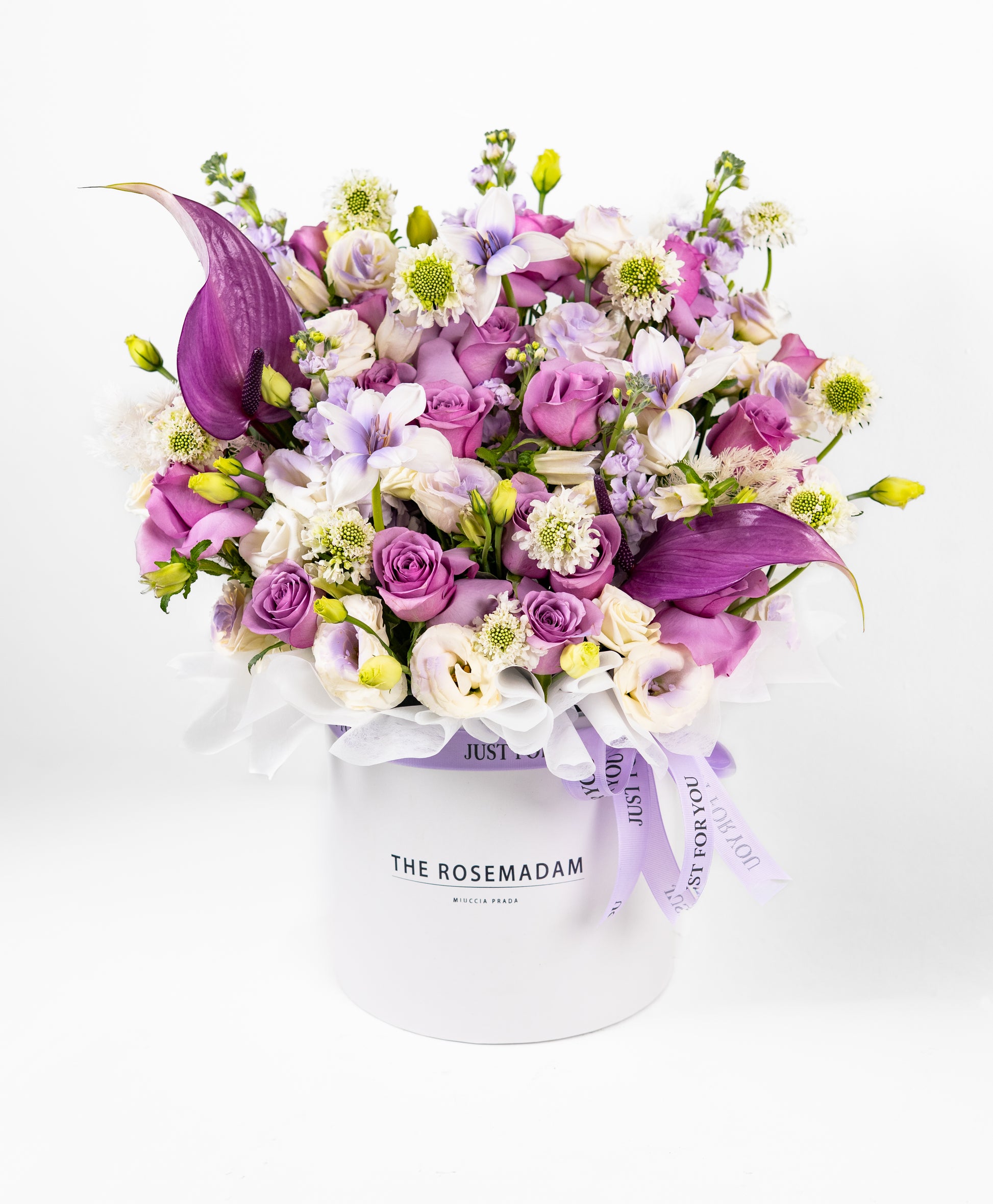 The Majestic Lilac Box