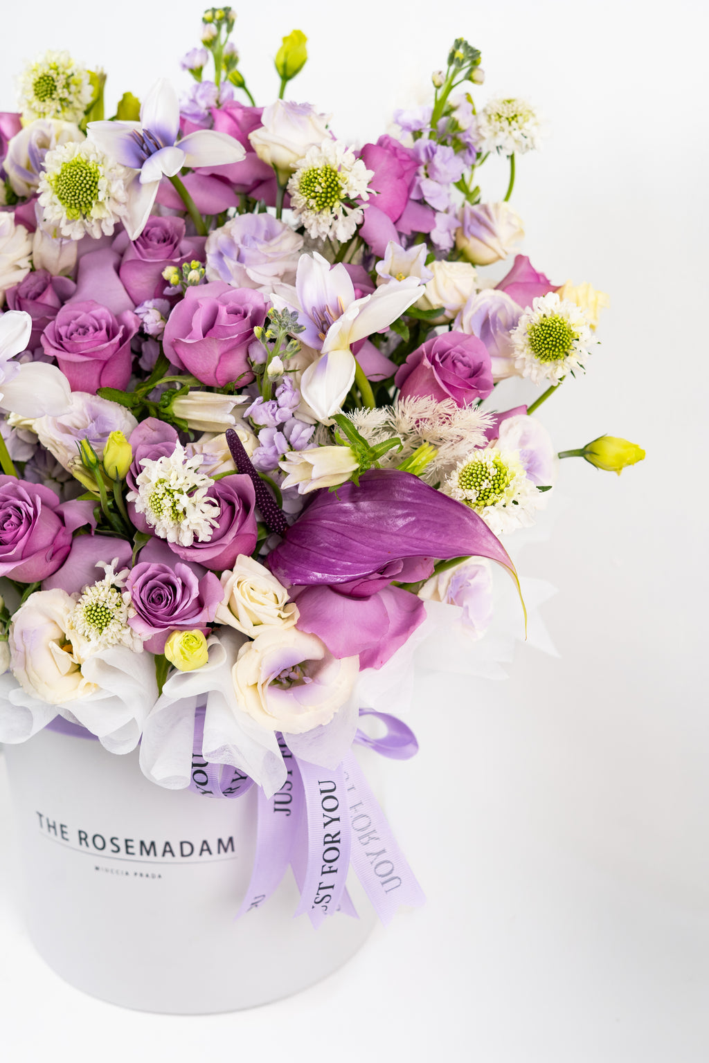 The Majestic Lilac Box
