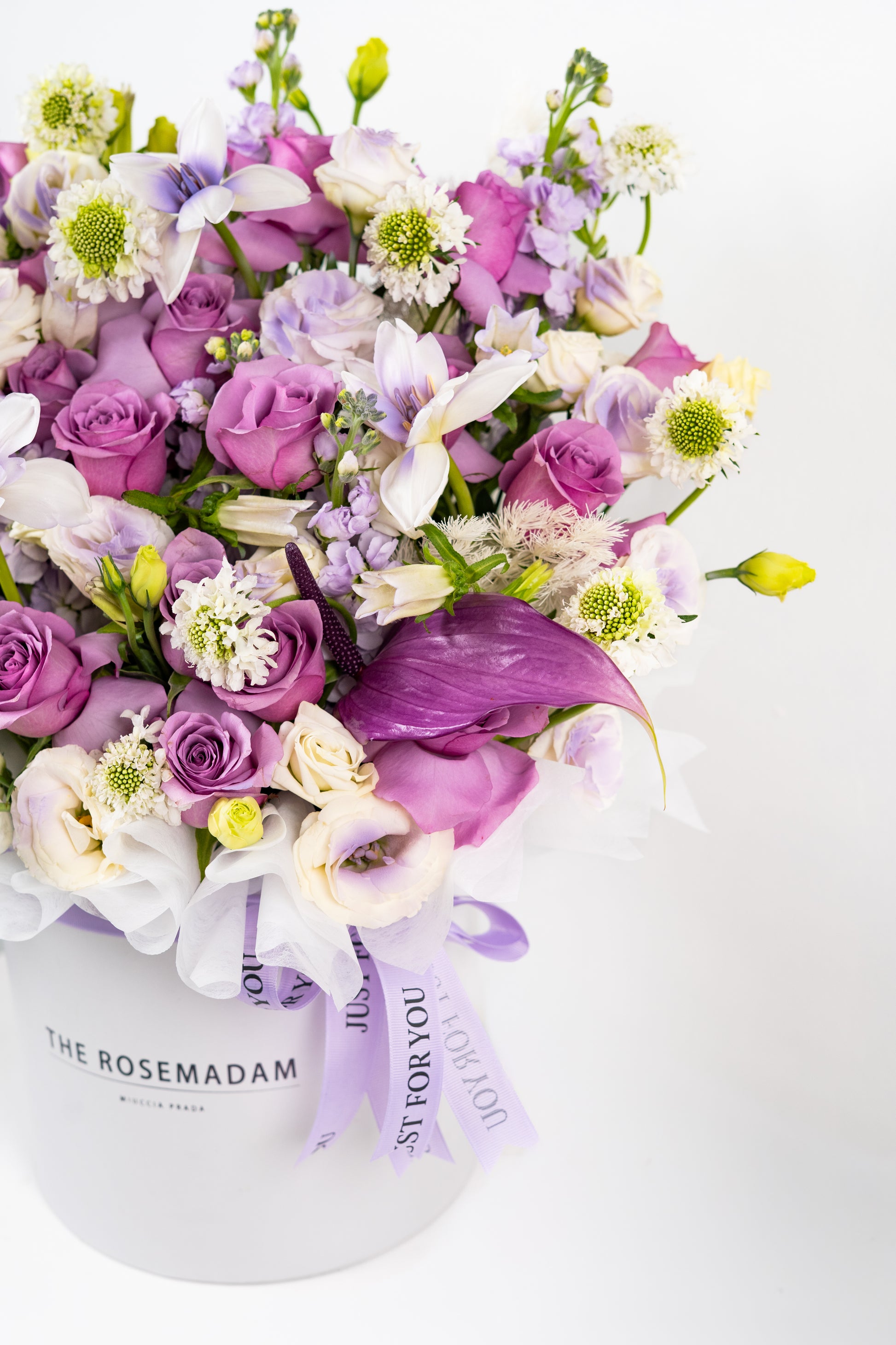 The Majestic Lilac Box