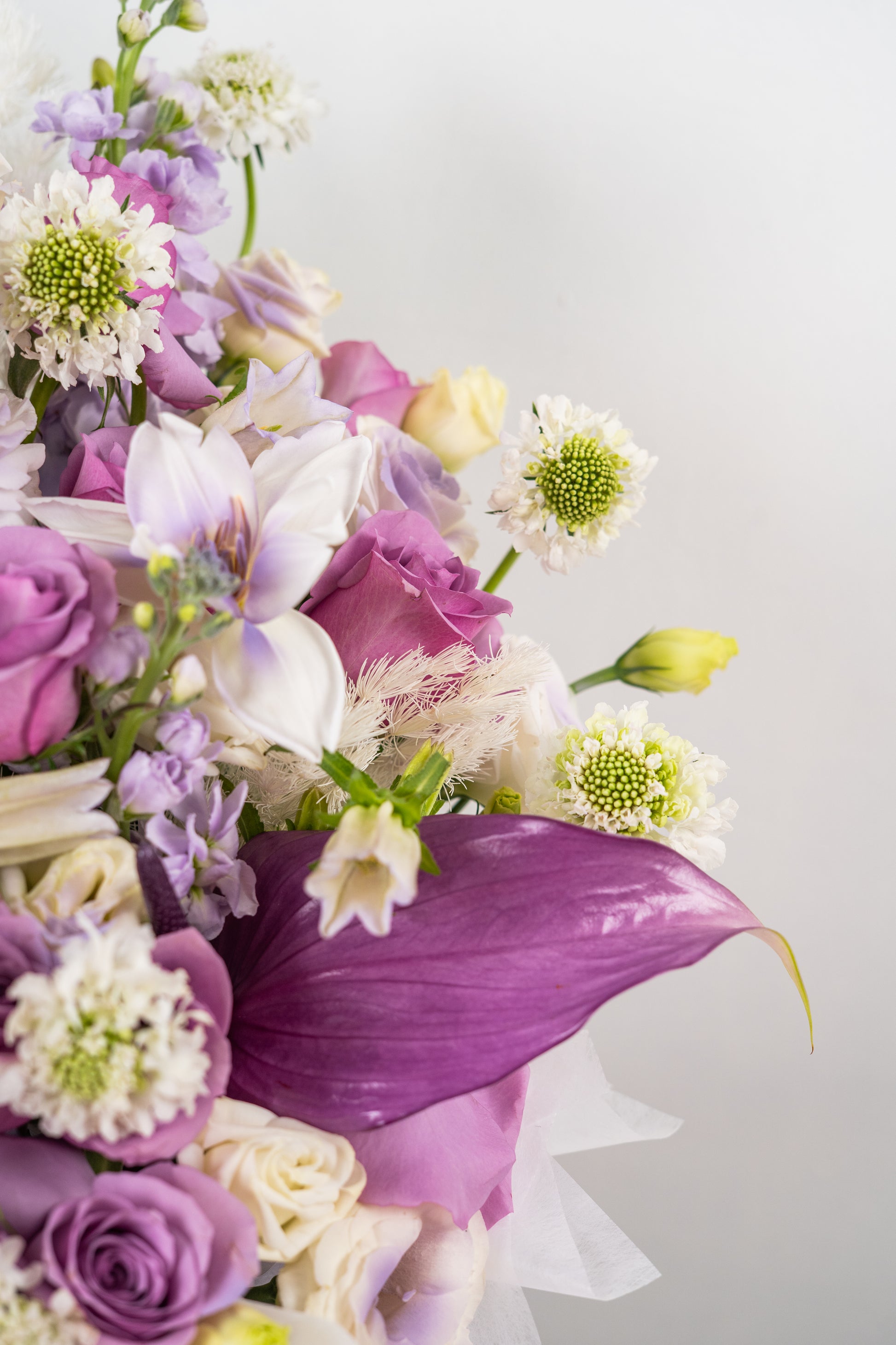 The Majestic Lilac Box