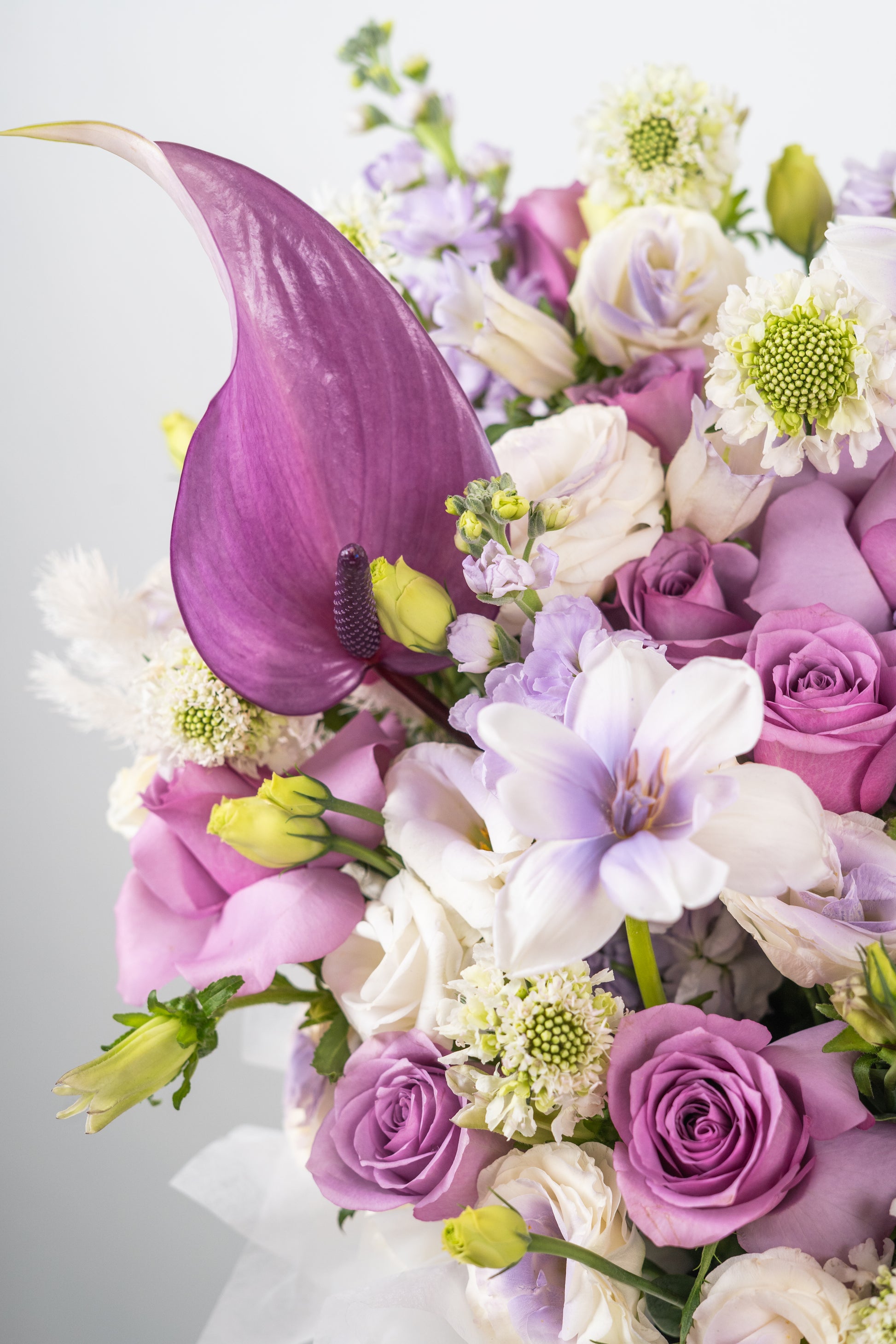 The Majestic Lilac Box