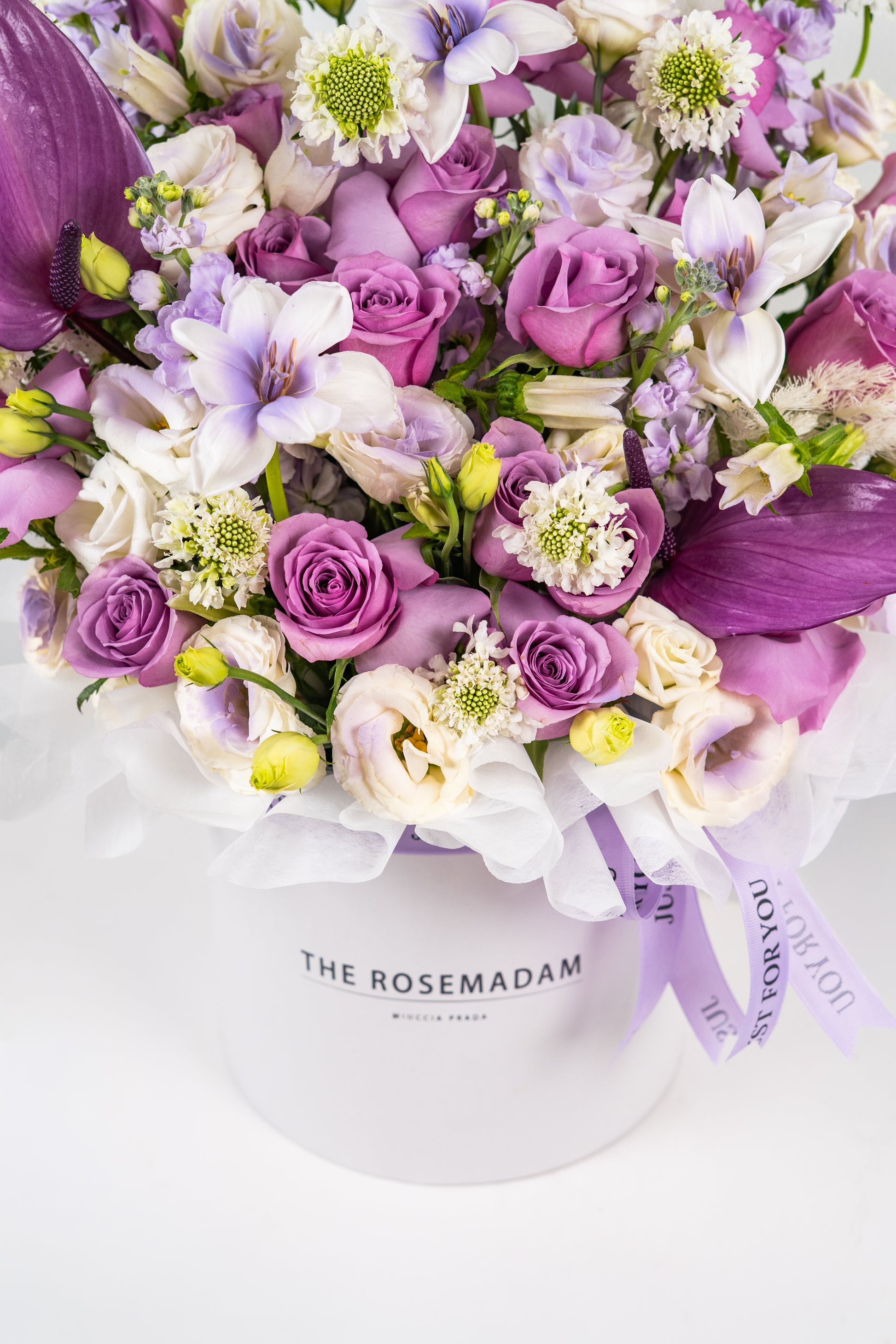 The Majestic Lilac Box