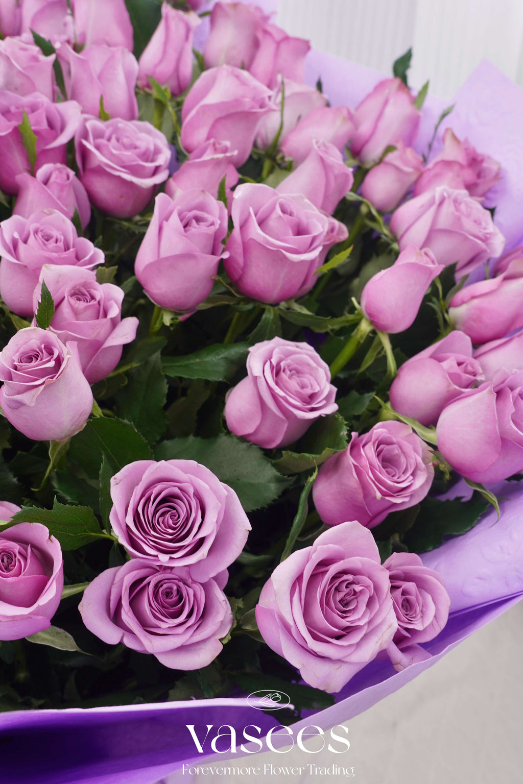 Purple Bubbles |  Purple Roses