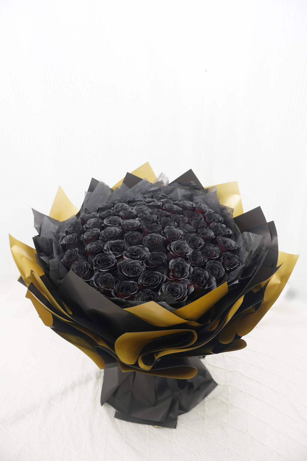Dark Night Golden Glow | 51 Black Rose