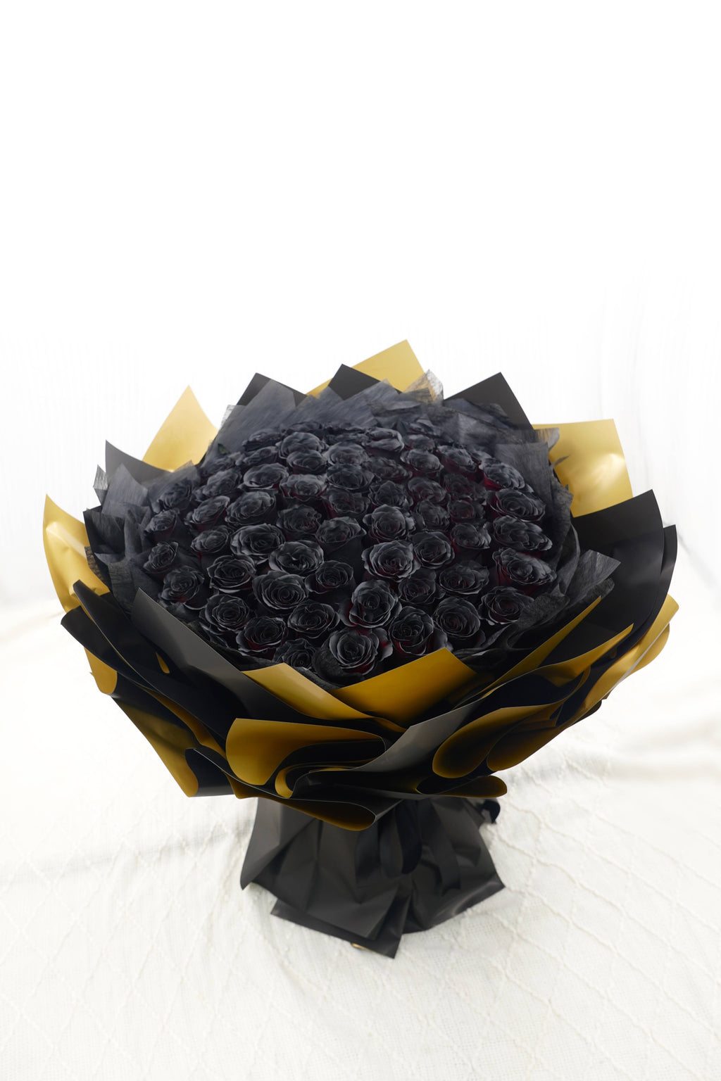 Dark Night Golden Glow | 51 Black Rose