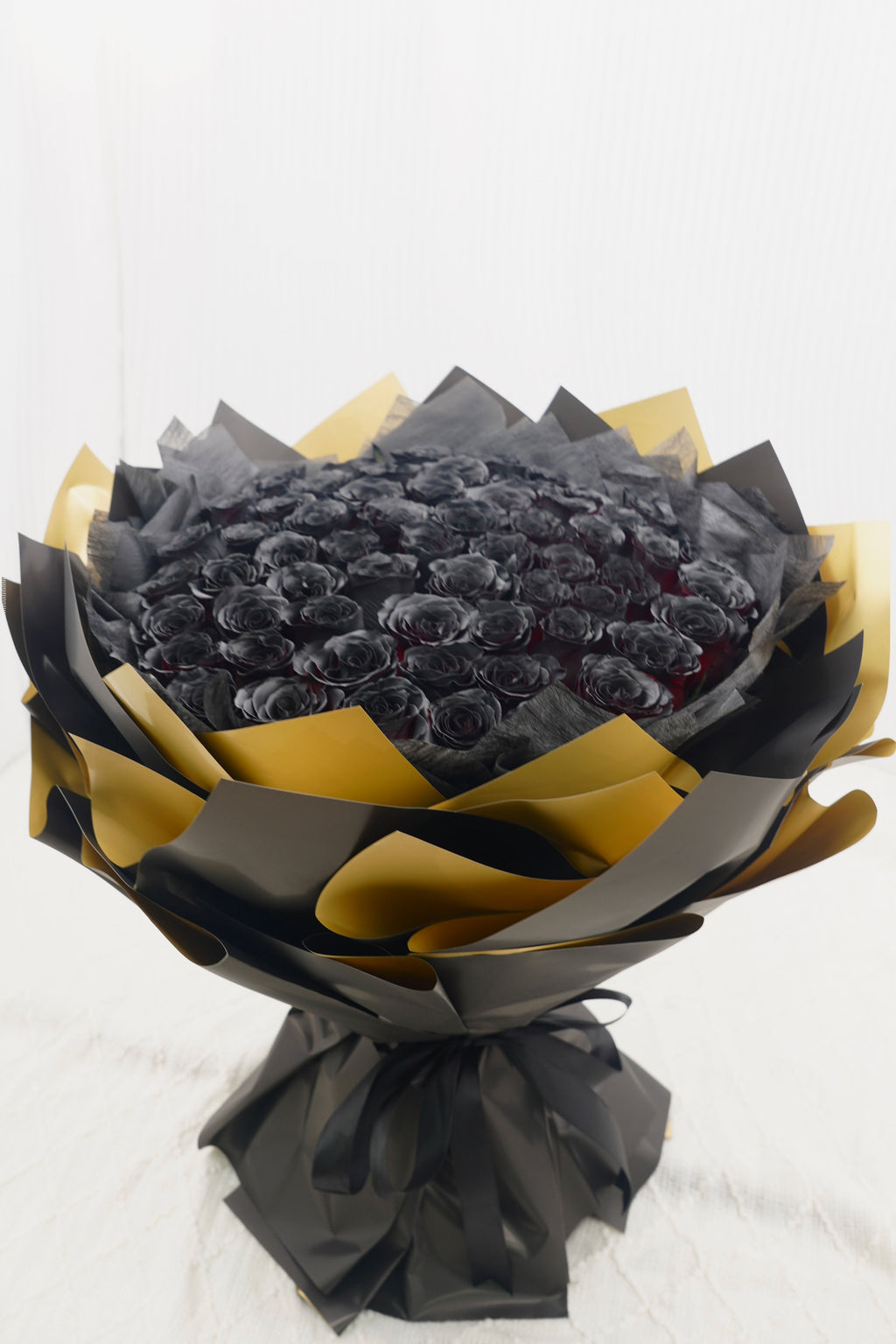 Dark Night Golden Glow | 51 Black Rose